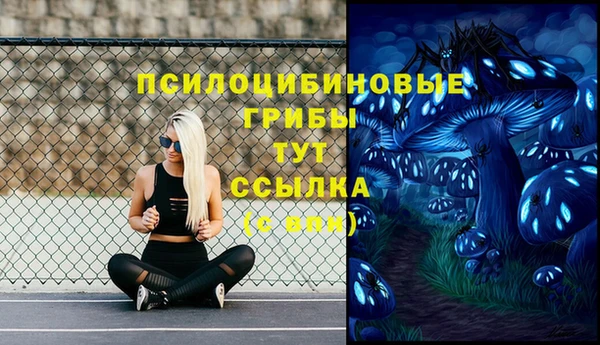 прущие крисы Баксан